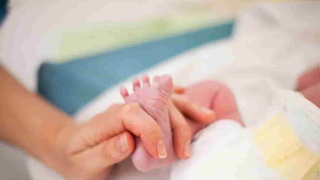 Neonato