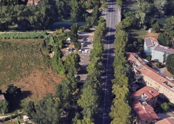 Maratta ex Grillofer