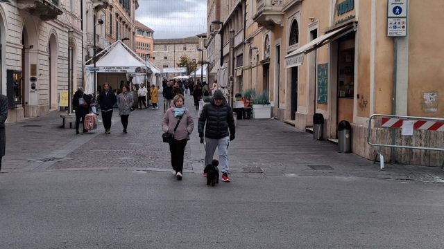 Sweet Pampepato bancarelle stand Corso Tacito