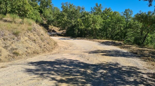 strada san venanzo